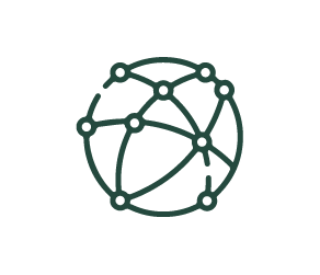 Jaringan / Network